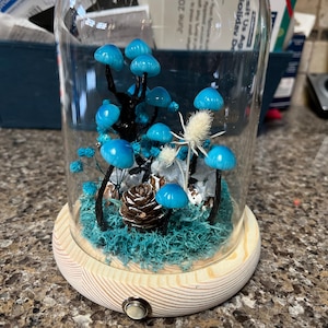 Angela added a photo of their purchase