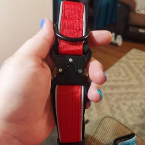 Maghan added a photo of their purchase