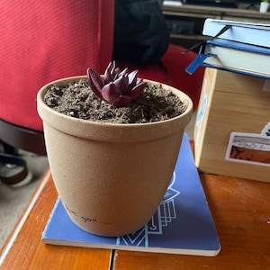 Seth added a photo of their purchase