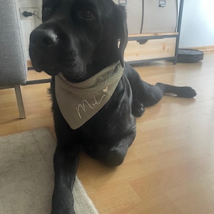 Jonas added a photo of their purchase