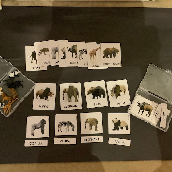 Body Parts Cards Montessori Materials Homeschool Body Part Real ...