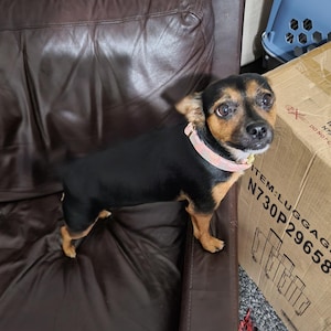 Etsy buyer added a photo of their purchase