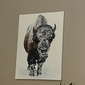 Cindy added a photo of their purchase
