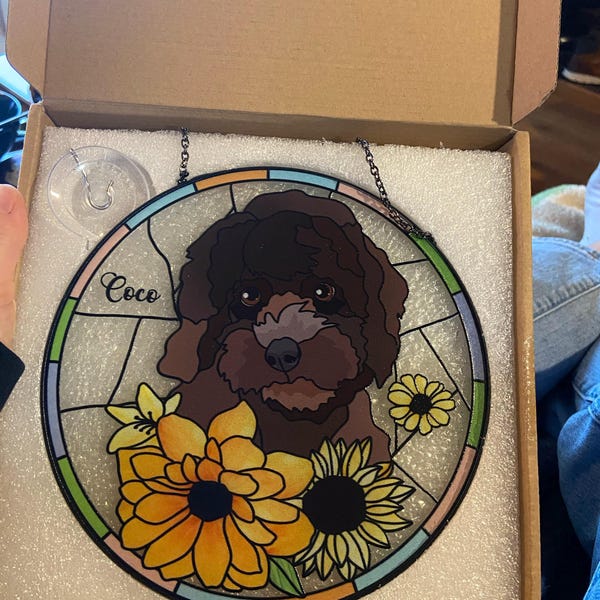 Horse Care Knowledge Poster Horse Anatomy Poster Horse Knowledge