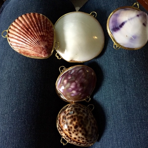 Real Seashell Trinket, Coin, Pill, Jewelry Box or Purse ~ Available in ...