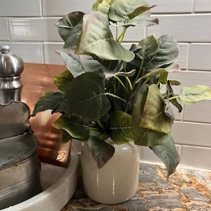 Lisa added a photo of their purchase