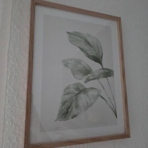 Tamara added a photo of their purchase
