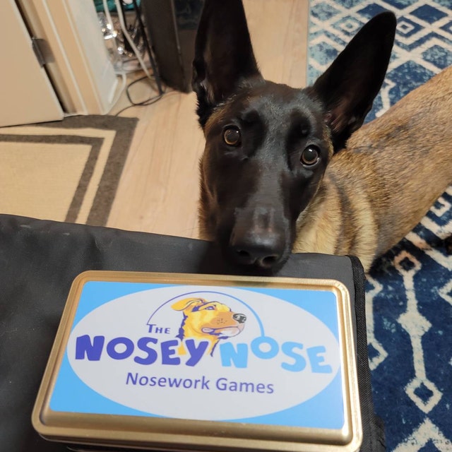 Three Simple Nose Work Games to Play With Your Dog - Puppy Leaks