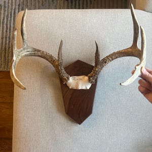 Austin added a photo of their purchase