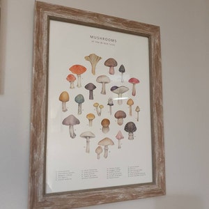 Rachel ha añadido una foto de su compra