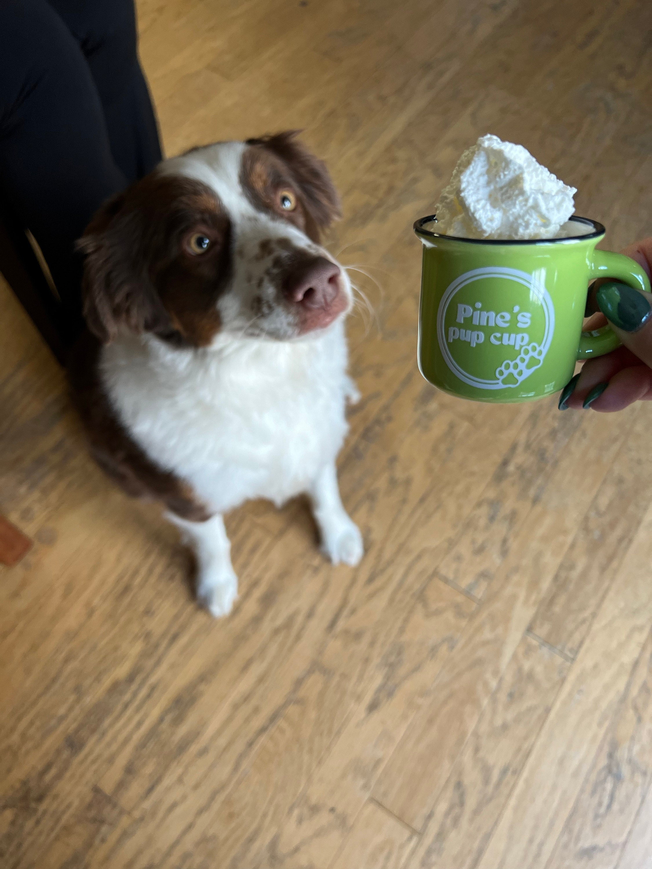 ❤️Buy 2 FREE SHIPPING❤️ Reusable Pup Cup | Custom Puppuccino Mug | Dog Mom Gift | 2oz Personalized Pup Cup Mug