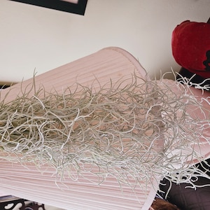 Lisa heeft een foto van zijn/haar aankoop toegevoegd