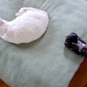 Carla さんが購入した商品の写真を追加しました