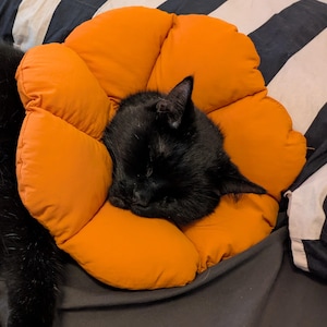 Marie added a photo of their purchase