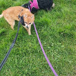 Mrs added a photo of their purchase