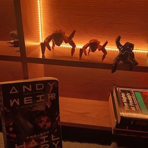 Małgorzata added a photo of their purchase