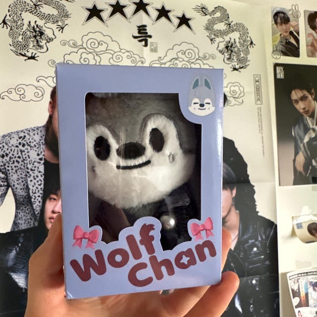 Box Only. Stray Kids SKZOO Box 10cm Plush Fanmade BOX [BOX