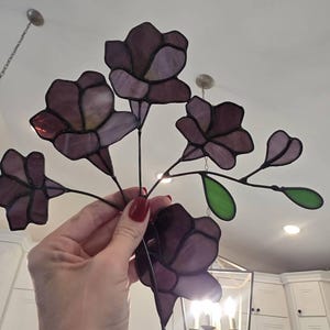 Johanna ha añadido una foto de su compra