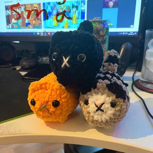 Hanna added a photo of their purchase