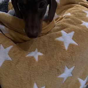 Selina added a photo of their purchase