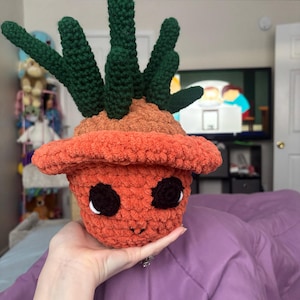 Madison added a photo of their purchase