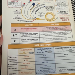 Lauren added a photo of their purchase