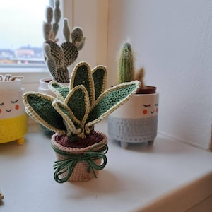 Magdaléna added a photo of their purchase