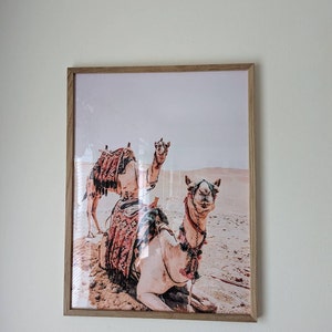 Andrea added a photo of their purchase