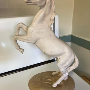 Janel added a photo of their purchase