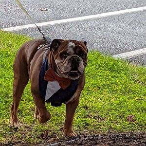 Molly added a photo of their purchase
