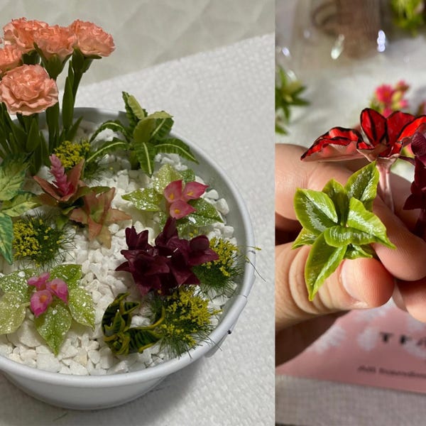 5 Miniature Poinsettia Bunch of Flower,miniature Red Color Flower ...