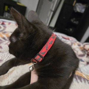 animlgrl さんが購入した商品の写真を追加しました