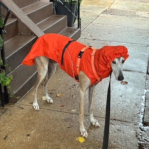 Jill added a photo of their purchase