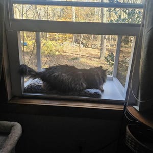 dawn added a photo of their purchase