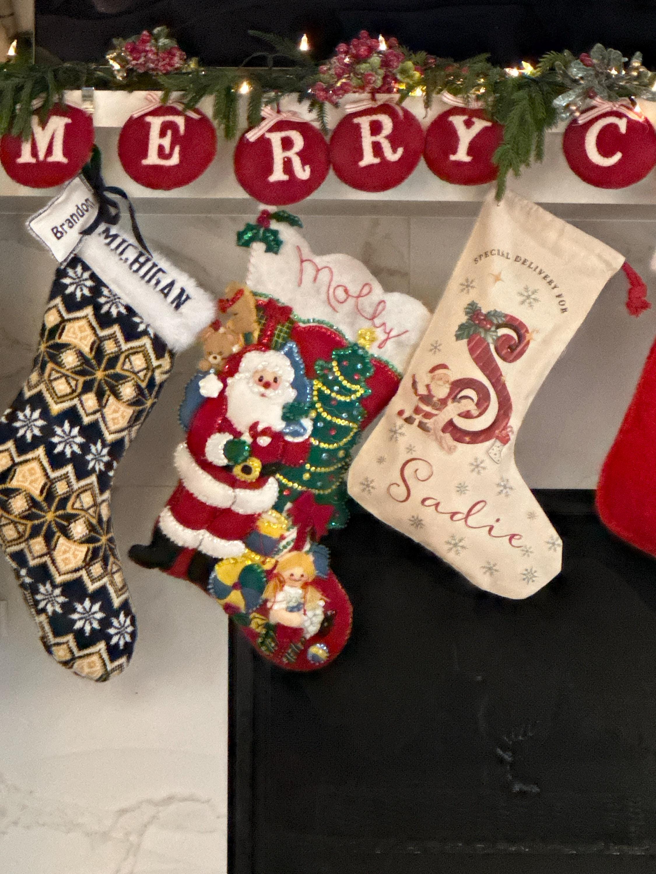 Christmas Santa Stocking, Custom Christmas Stocking, Special Delivery Kids Stocking for Christmas, Personalized Christmas Family Stocking