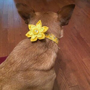 Carly added a photo of their purchase