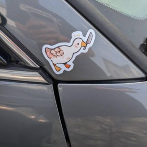 Sydney added a photo of their purchase