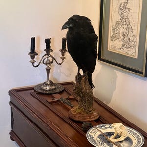 Ben added a photo of their purchase