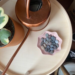 Candice added a photo of their purchase