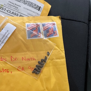 Alma added a photo of their purchase