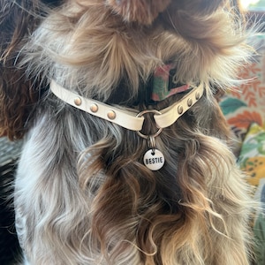 Ryleigh adicionaram uma foto da sua compra