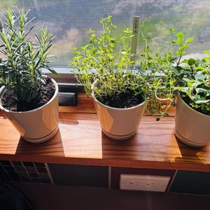 Laurie added a photo of their purchase