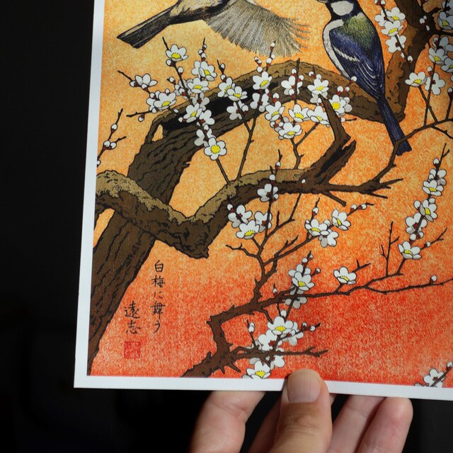 Japanese Art Print, Toshi Vintage Print, Ukiyo-e Art Print