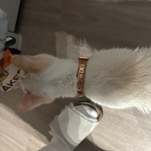 Bailey heeft een foto van de aankoop toegevoegd