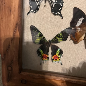 April added a photo of their purchase