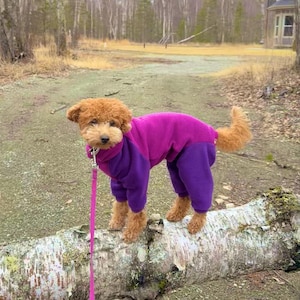 Trudi added a photo of their purchase