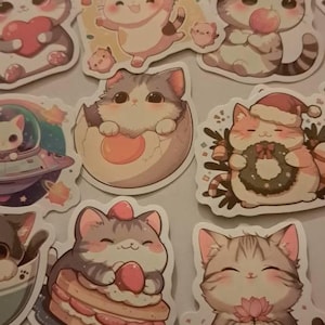 Stefanie さんが購入した商品の写真を追加しました