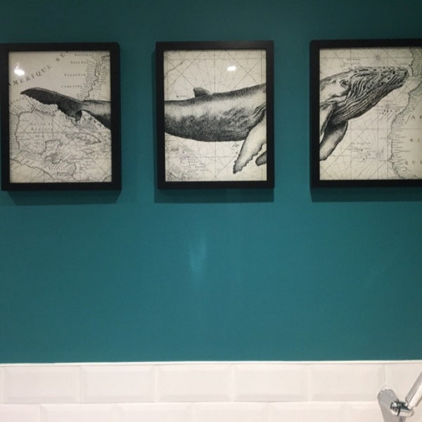 Humpback Whale Wall Art Poster Set of 3 - Whale Art Print - Humpback ...