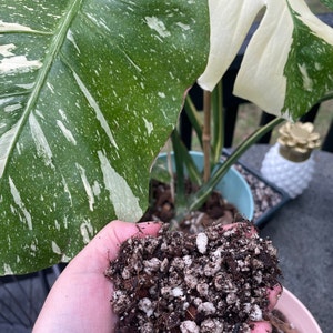 Etsy-koper heeft een foto van de aankoop toegevoegd