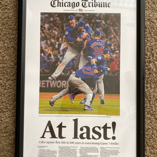 2016 Chicago Cubs World Series Champions 11x14 Team Collage photo poster  photo at 's Entertainment Collectibles Store